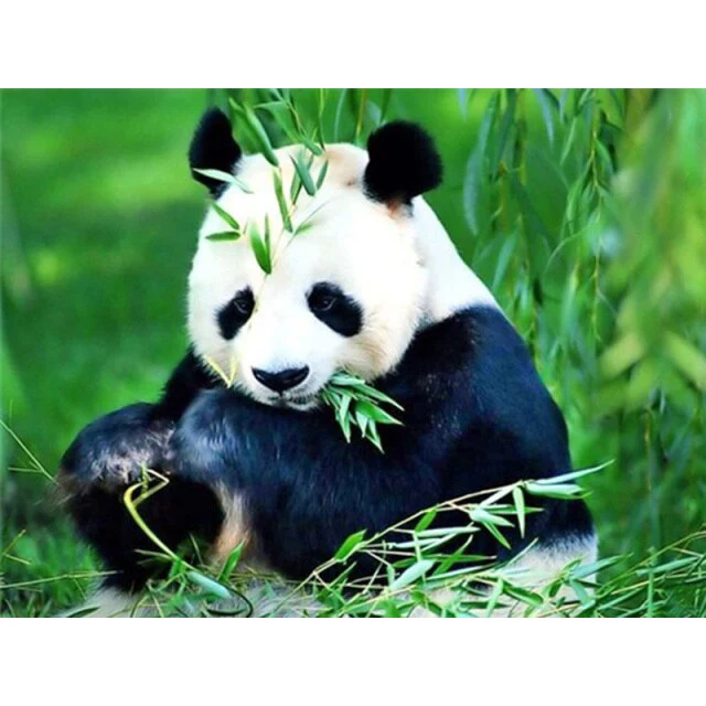 Adorable Panda - Diamond Painting Kit