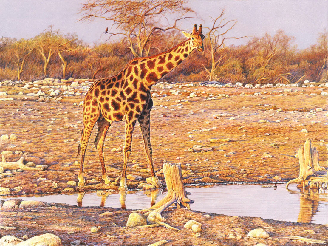 Afternoon's Glow - Art by Eric Wilson