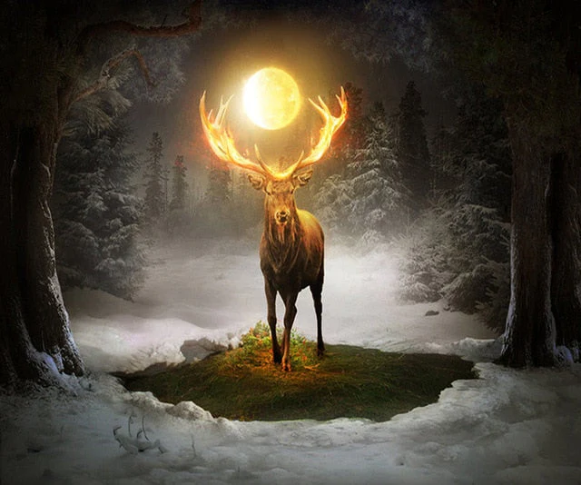 Amazing Forest DIY Painting Collection - Image 5