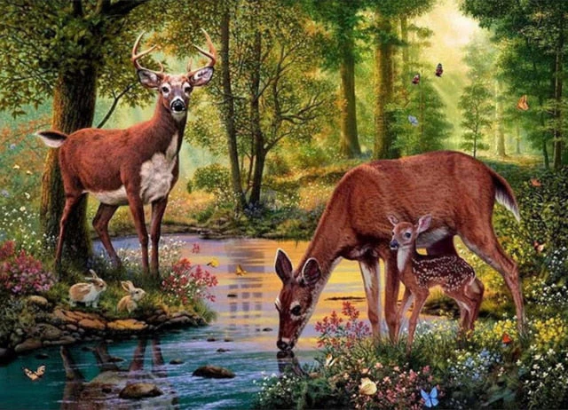 Amazing Forest DIY Painting Collection - Image 7