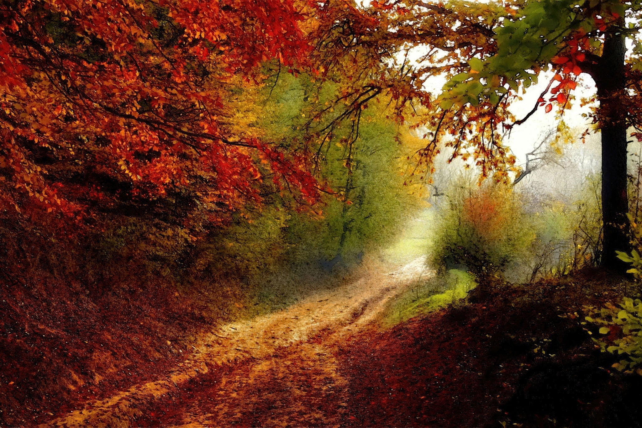 Autumn Forest Edge - Art by Denise Dundon