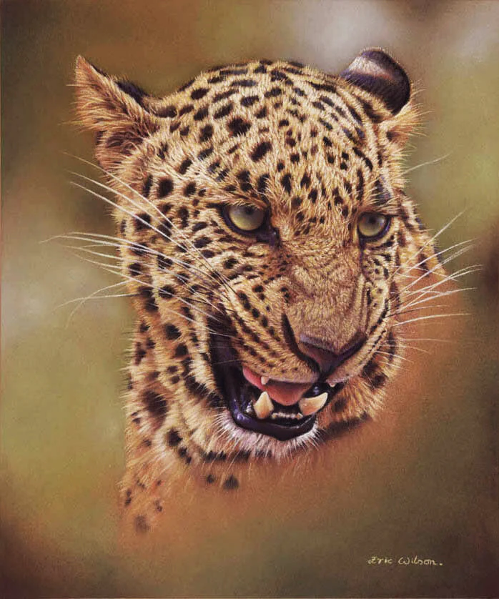 Bhagya - Art by Eric Wilson