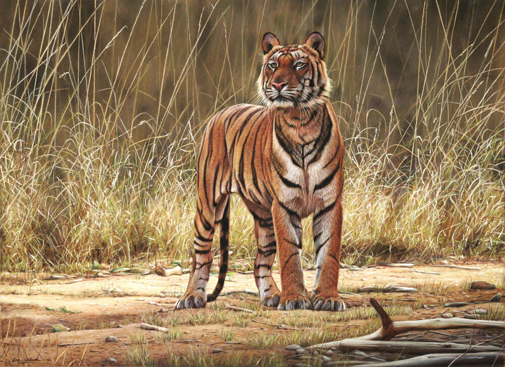 Bhoka Tiger - Art by Eric Wilson