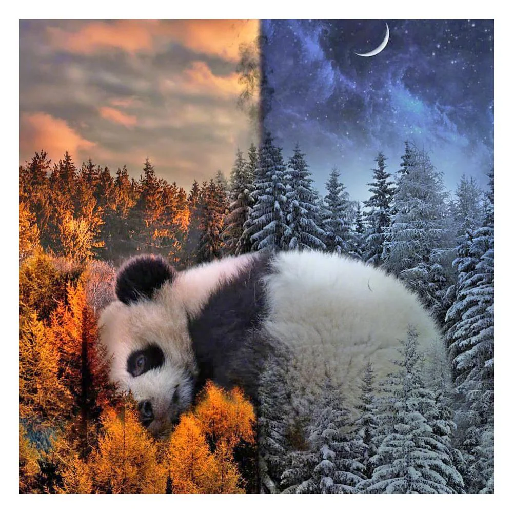 Big Fat Panda - DIY Diamond Painting Kit