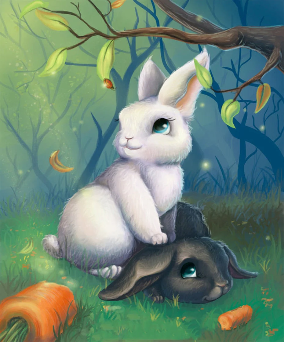 Black & White Rabbits in Forest