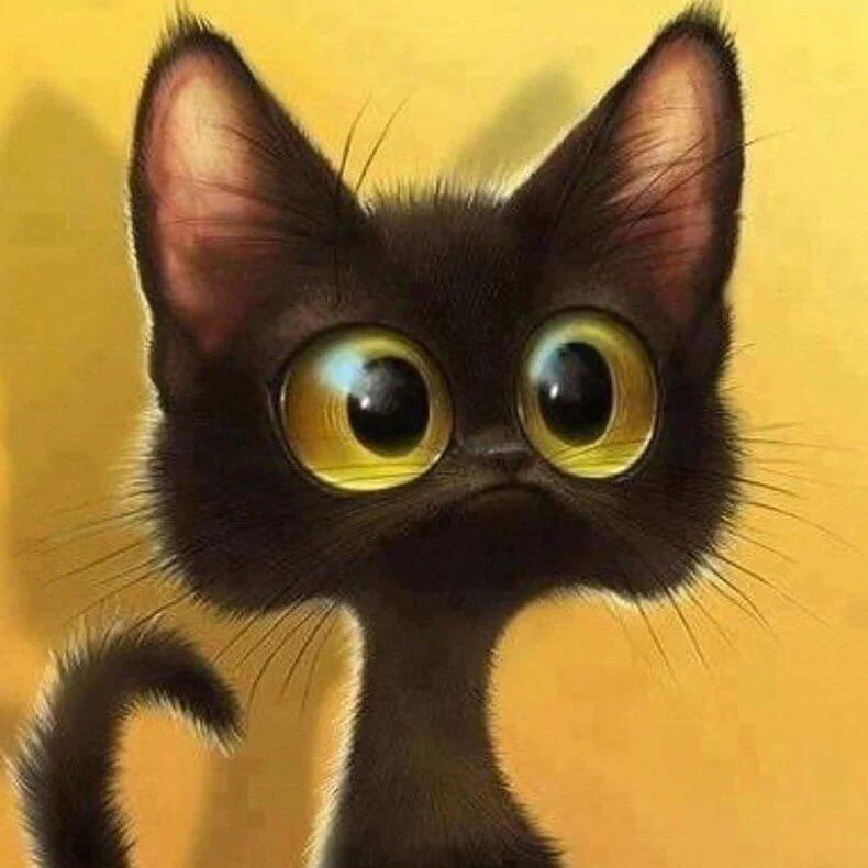 Black Kitten Diamond Painting