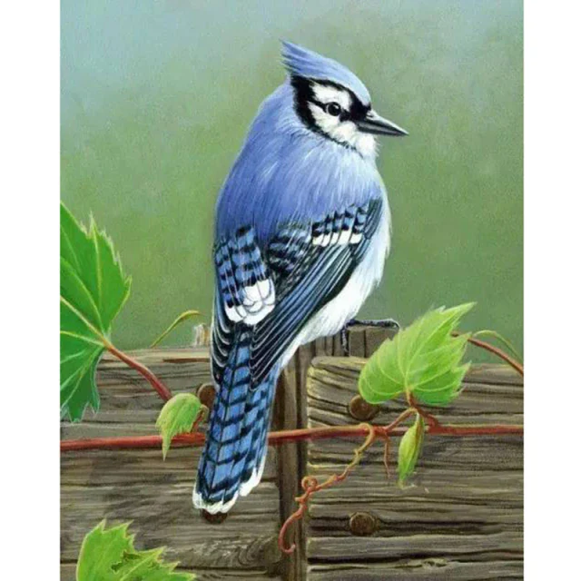Blue Humming Bird - Diamond Painting