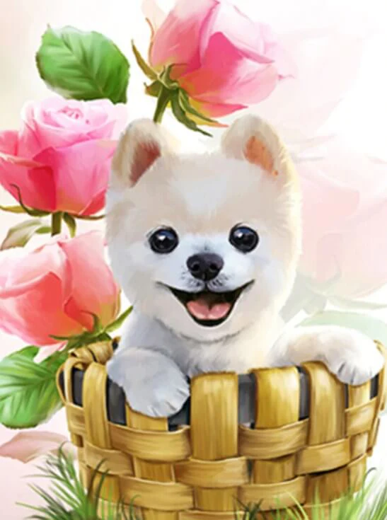 Boo in the Basket