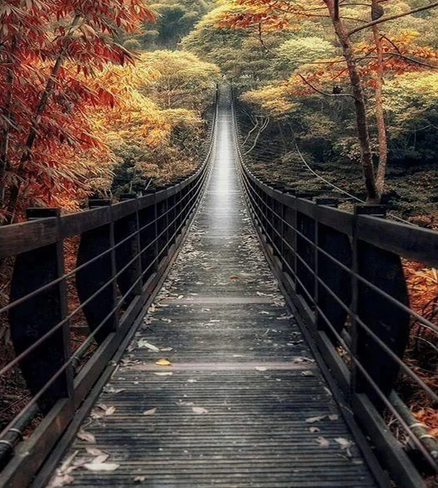 Bridge Landscape DIY Painting