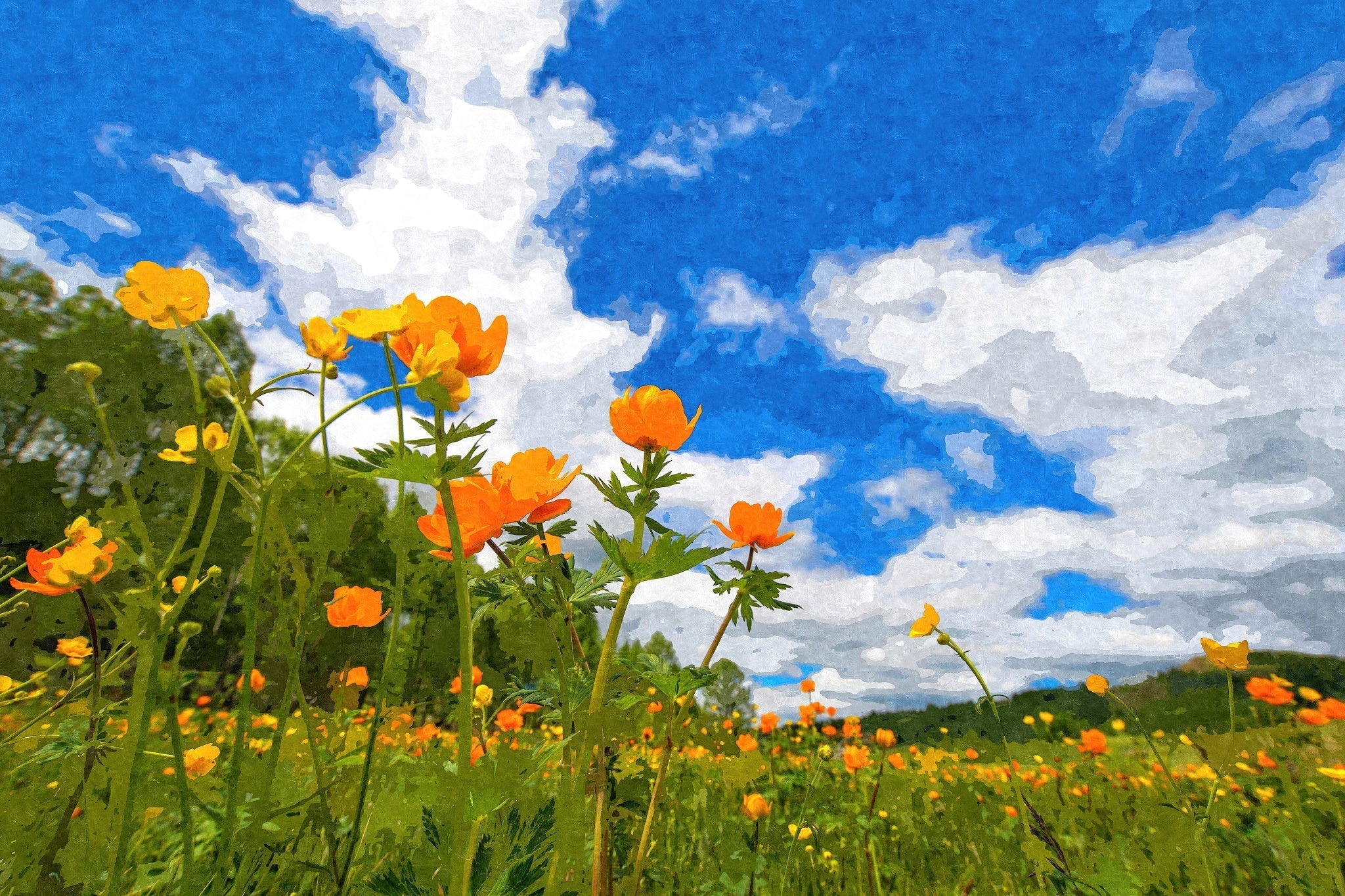 California Poppies Under Blue Skies - Art by Denise Dundon