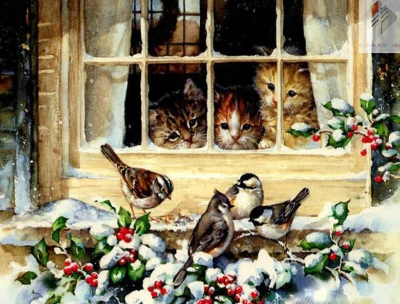 Cats Starring Sparrows from Window