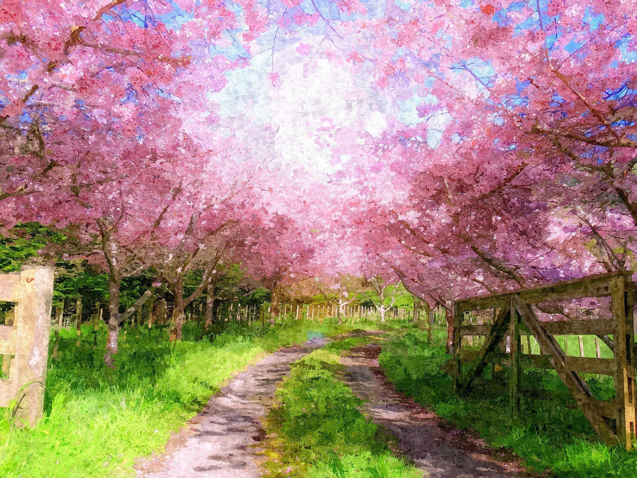Cherry Blossom Lane - Art by Denise Dundon