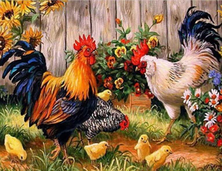 Chickens on the Farm
