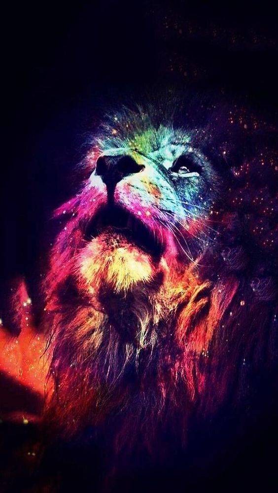 Colorful Lion Art Diamond Painting