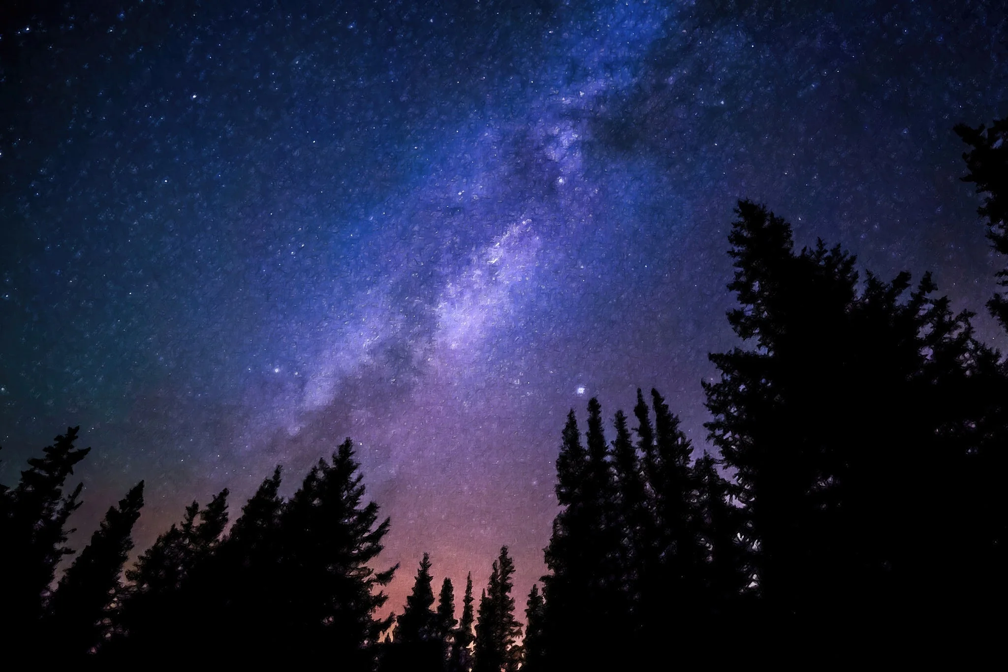 Conifers Reaching To Milky Way - Art by Denise Dundon