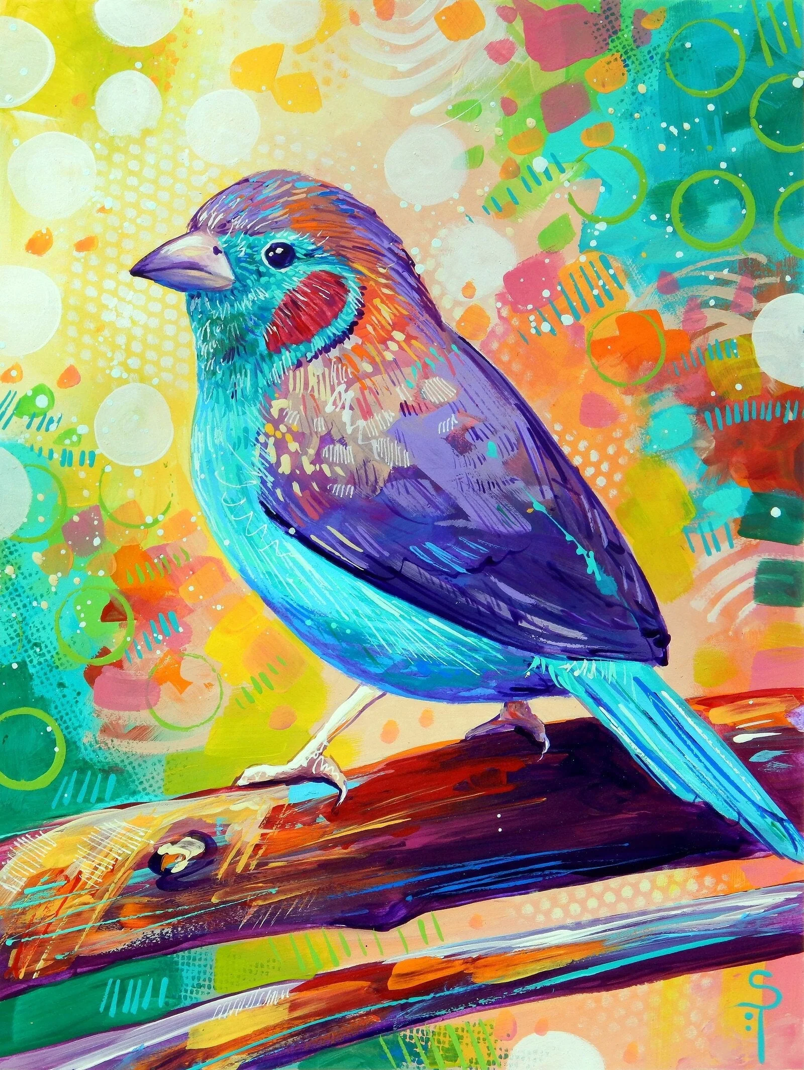 Cordon Bleu Finch - Art by Sandra Trubin