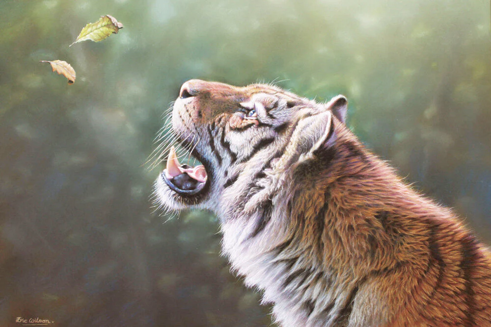 Curiosity - Art by Eric Wilson