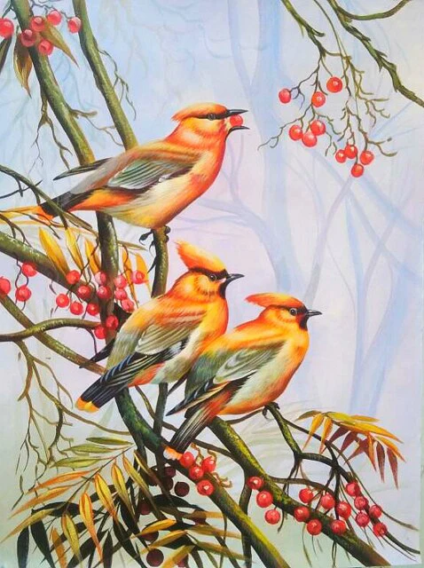 Cute Little Birds - DIY Diamond Painting Kit