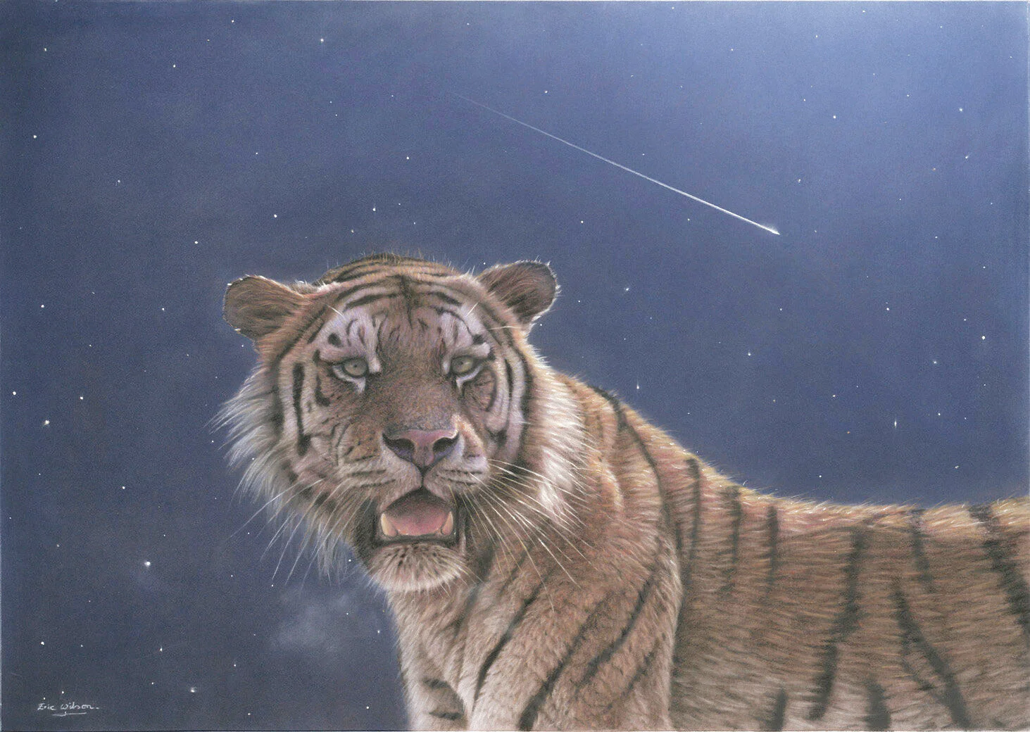 Falling Star - Art by Eric Wilson