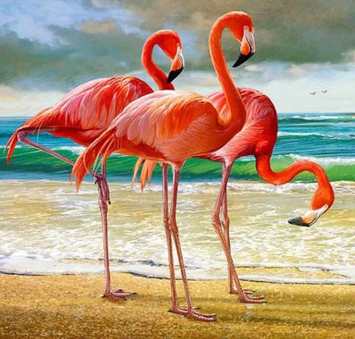 Flamingos on the Beach