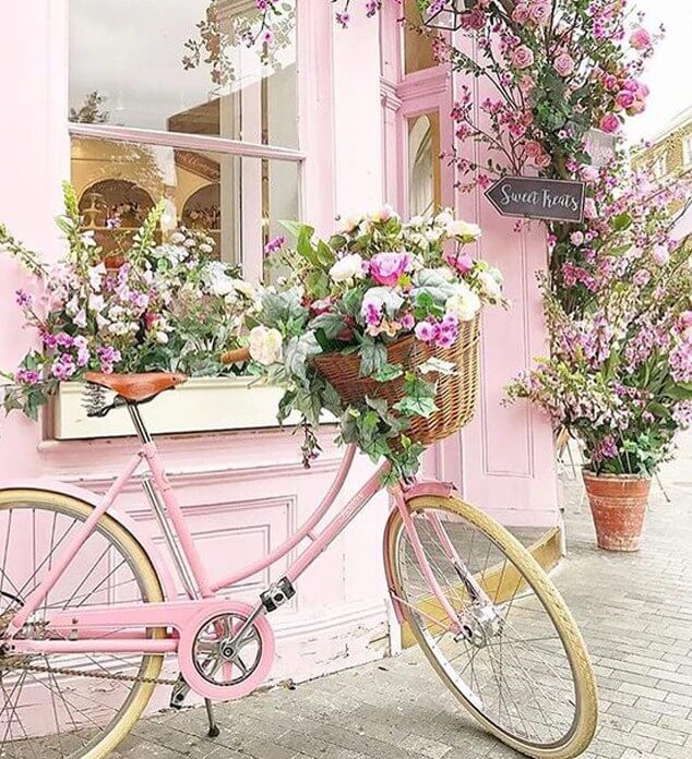 Flowers & Bicycle Painting Kit
