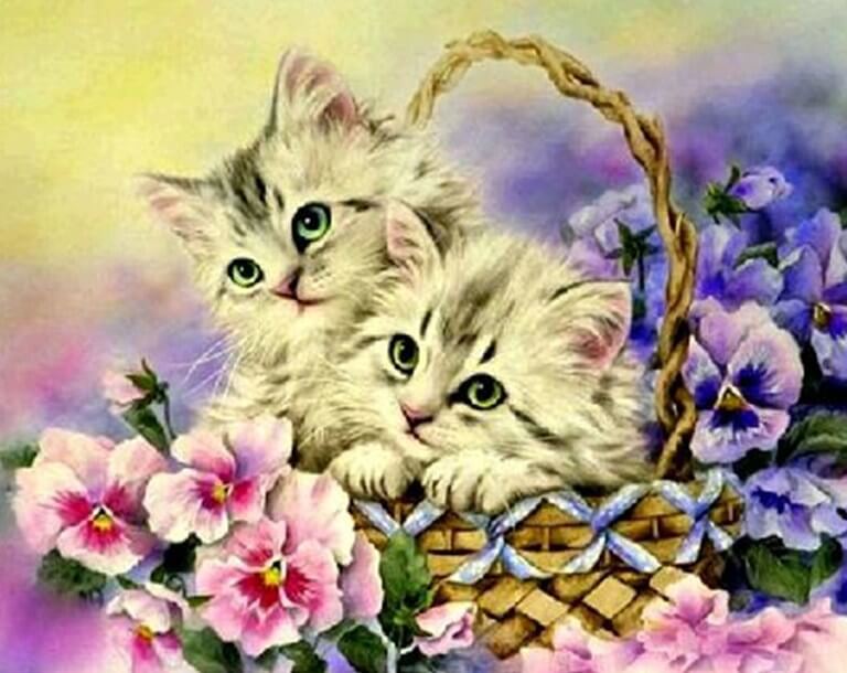Flowers & Kittens in Basket