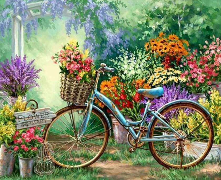 Flowers Market & Bicycle