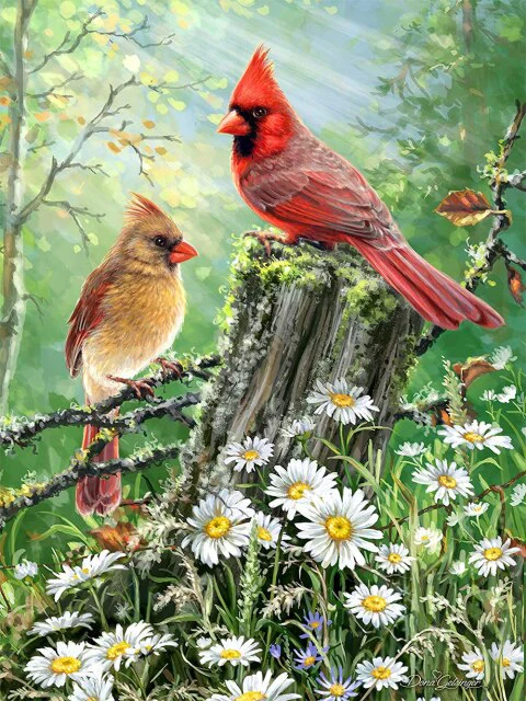 Forest Birds - Diamond Painting Kit