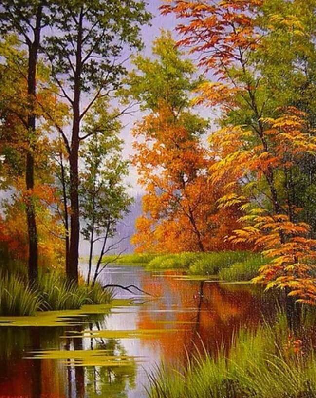 Forest by the Lake