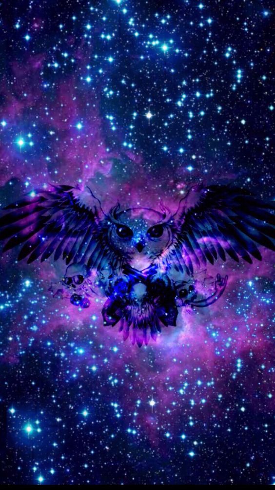 Galaxy & Owl - Abstract Art DIY Painting
