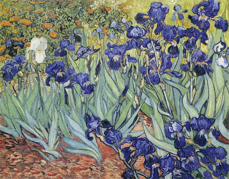 Irises DIY Diamond Painting  - Vincent Van Gogh