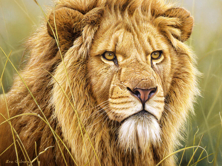 King of Beasts - Art by Eric Wilson
