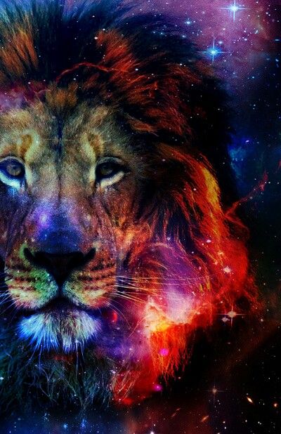 Lion in Galaxy Art - DIY Diamond Painting