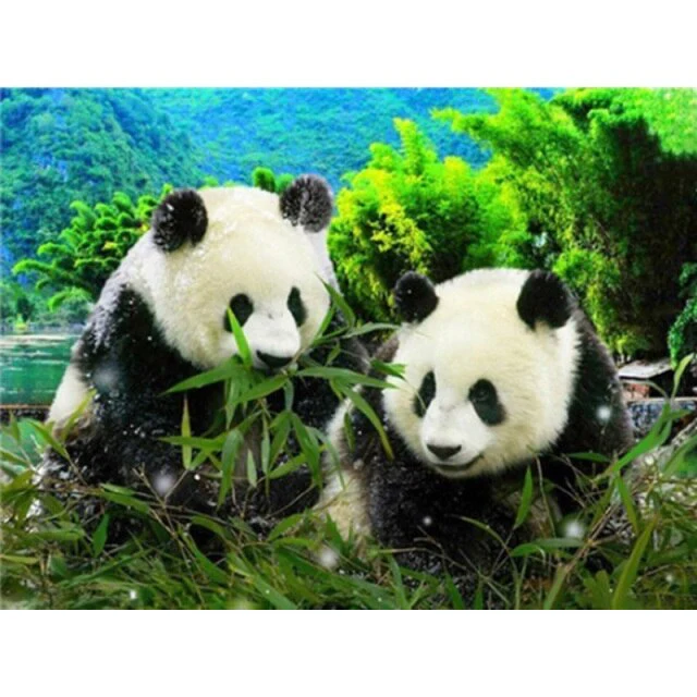 Little Panda Friend's - Diamond Painting Art