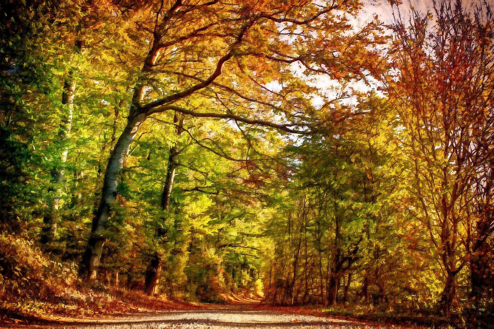Pathway Through Autumn Leaves - Art by Denise Dundon
