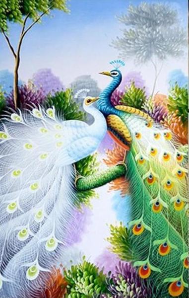 Peacock Pair DIY Diamond Painting
