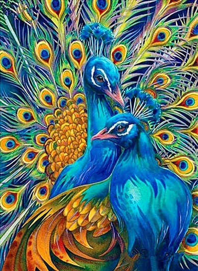 Peacocks Diamond Painting Kit