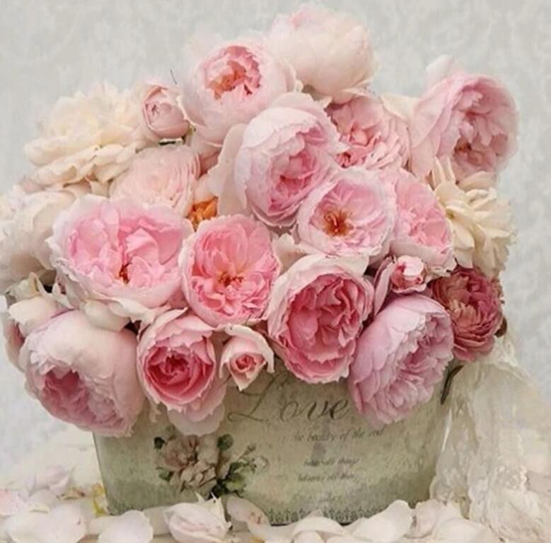 Peony 3D Diamond Painting Kit