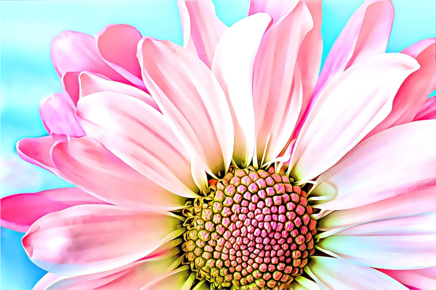 Pink Dahlia - Art by Denise Dundon