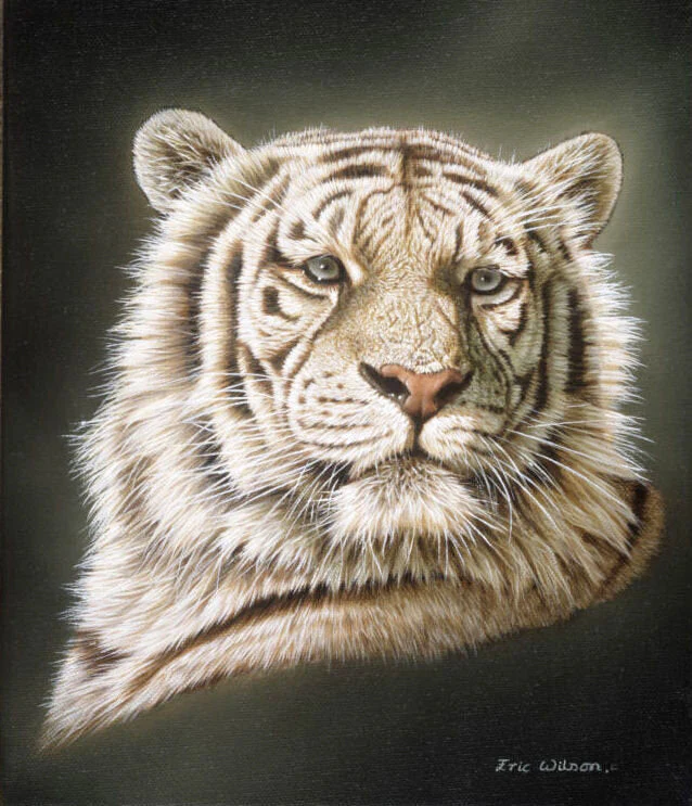 Portrait Of A White Tiger - Art by Eric Wilson