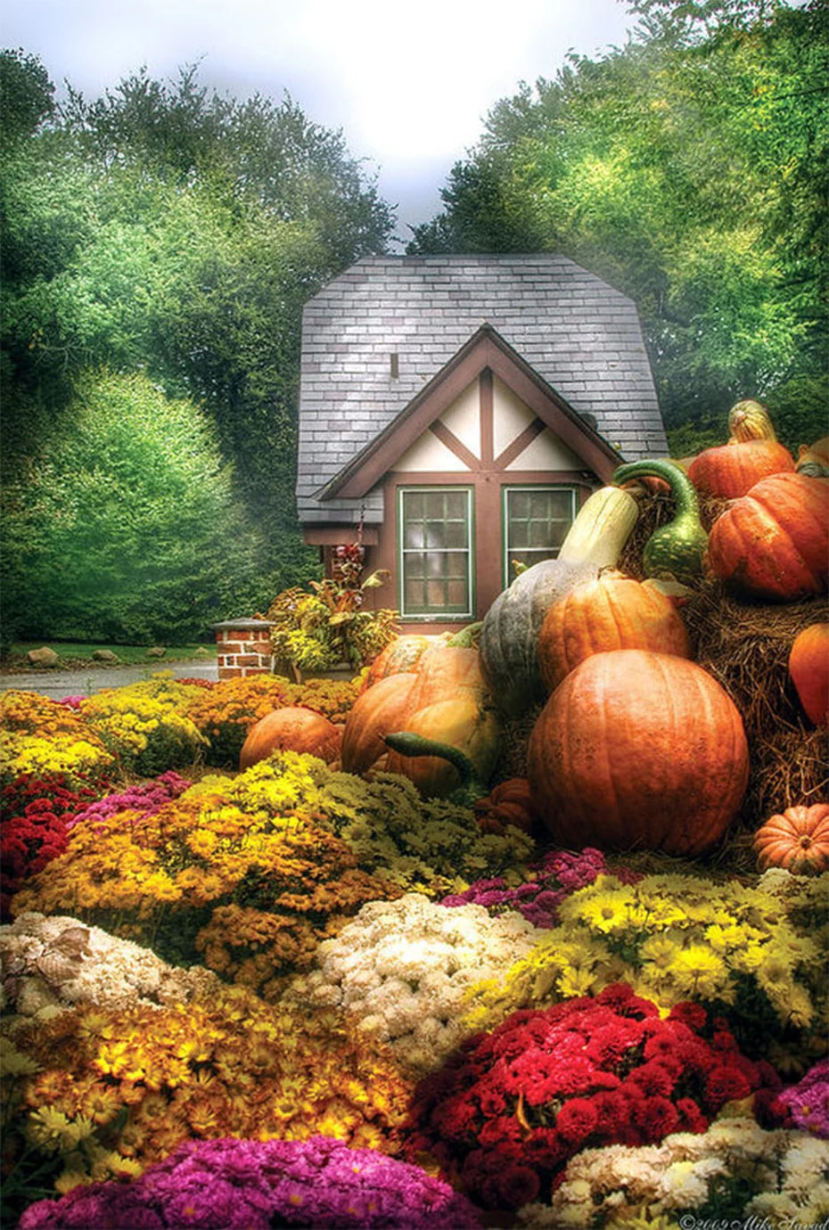 Pumpkin Garden DIY Diamond Painting