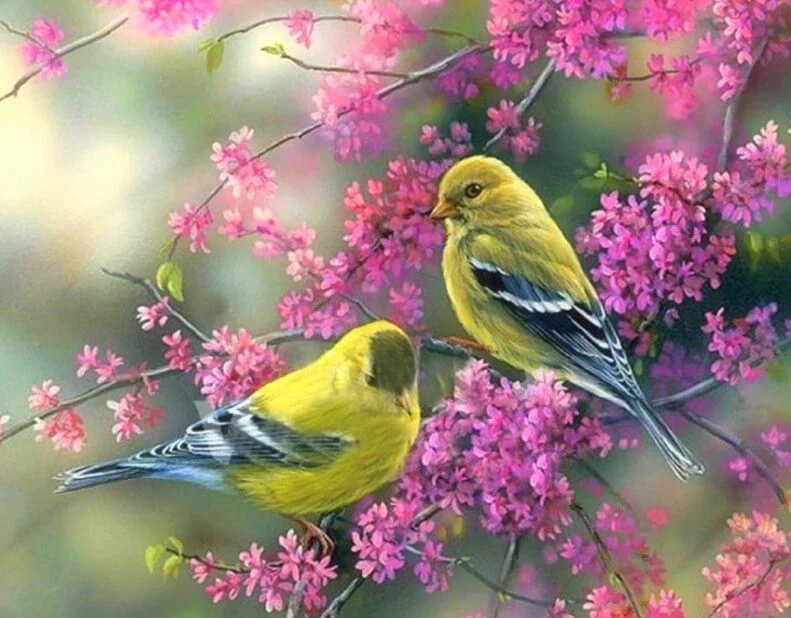 Sparrows 5D Diamond Painting Kit
