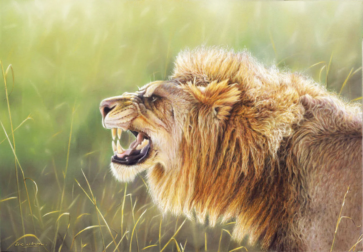 Spring is in The Air - Art by Eric Wilson