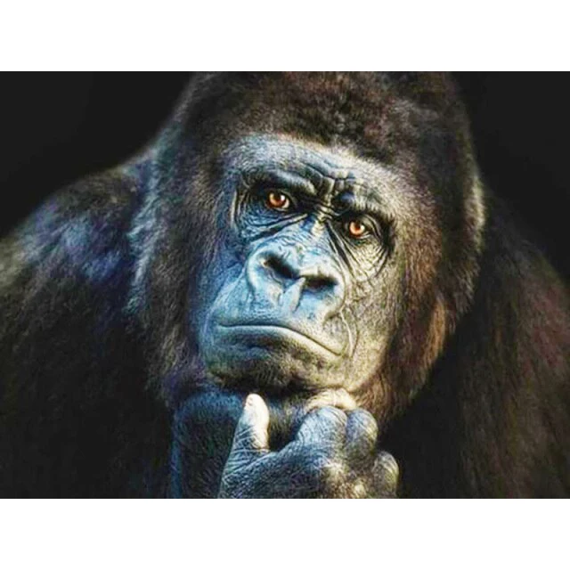 Stunning Gorilla - Diamond Painting
