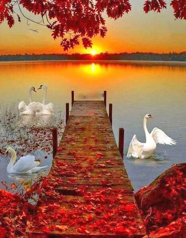 Sunset & Swans Diamond Painting Kit