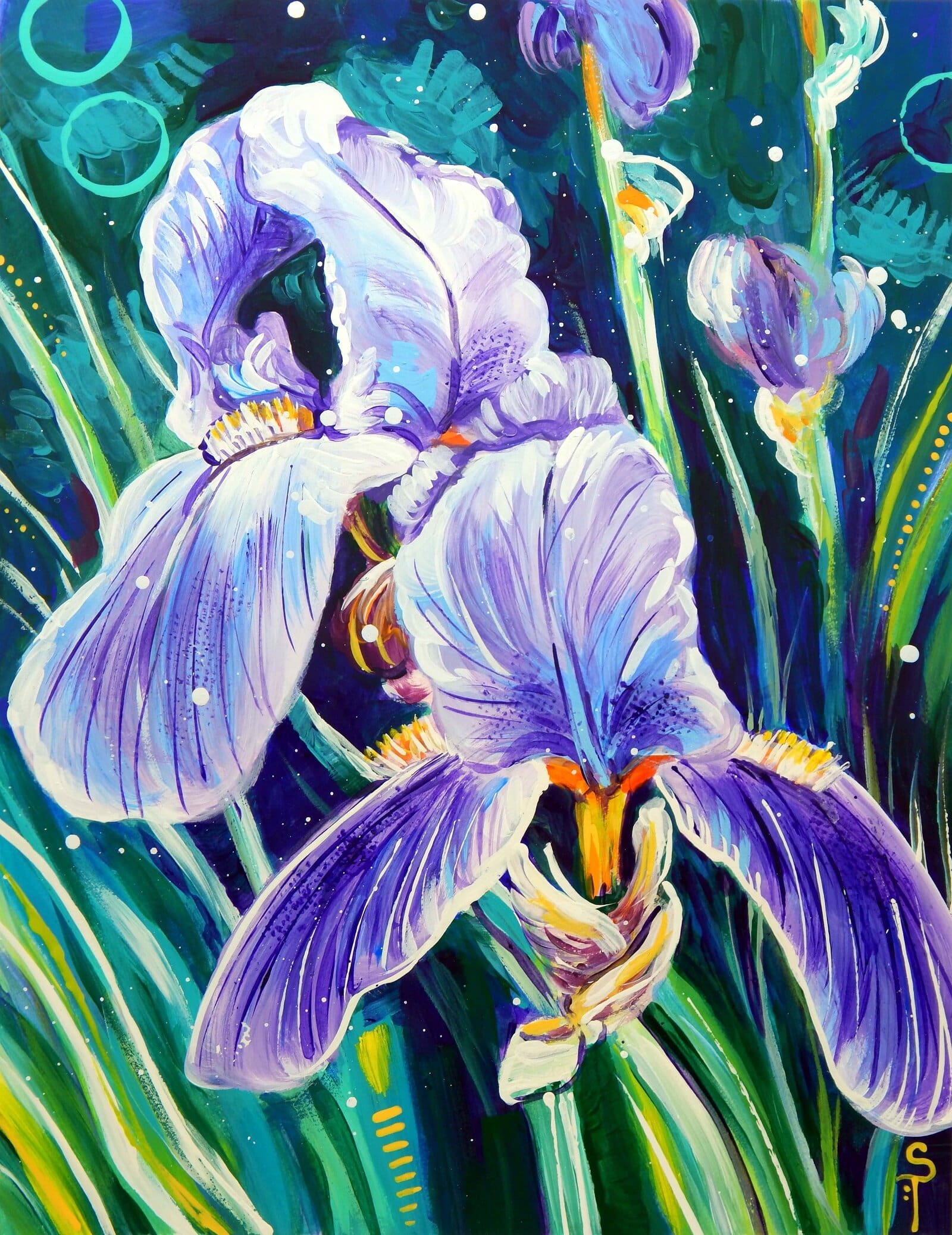 Violet Iris - Art by Sandra Trubin