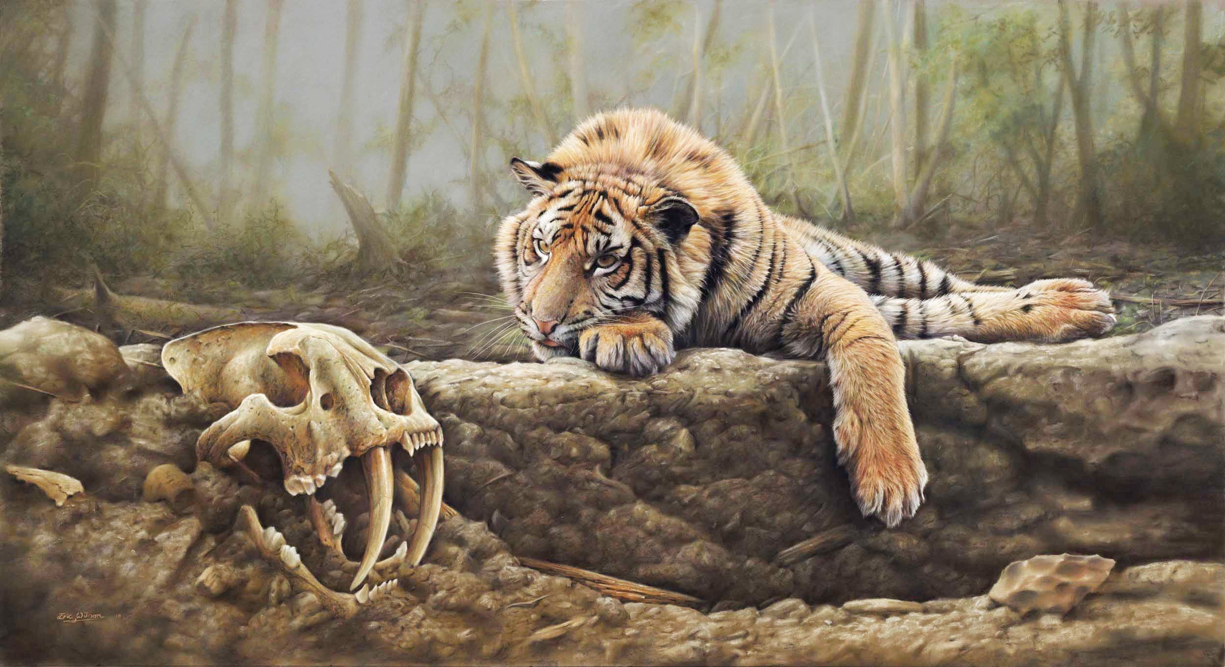 Where Tigers Pray - Art by Eric Wilson [USA SHIPPING]