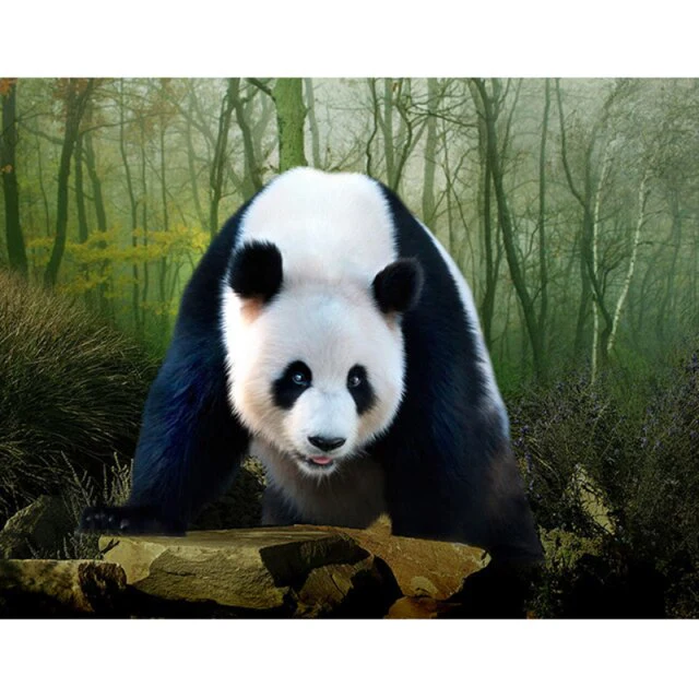 Wild Panda - Diamond Painting Art
