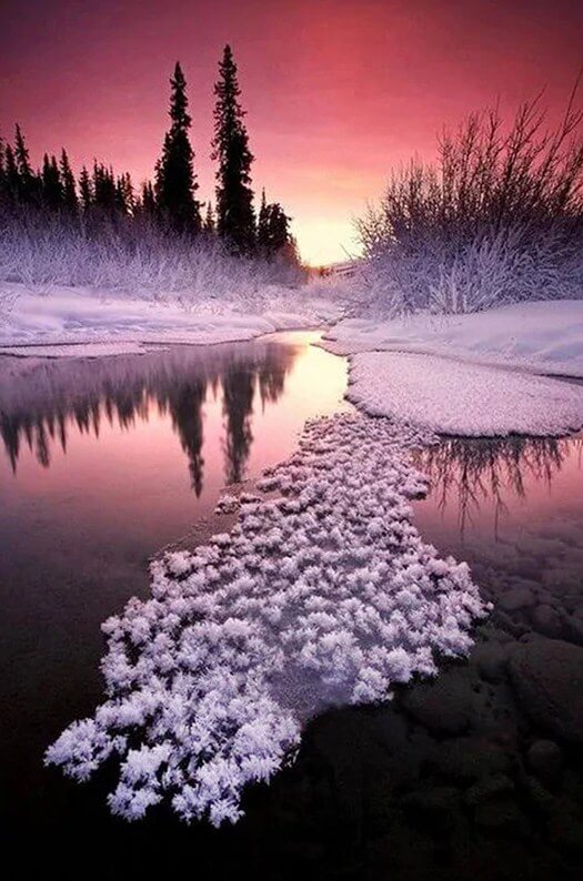 Winter in Alaska Diamond Painting