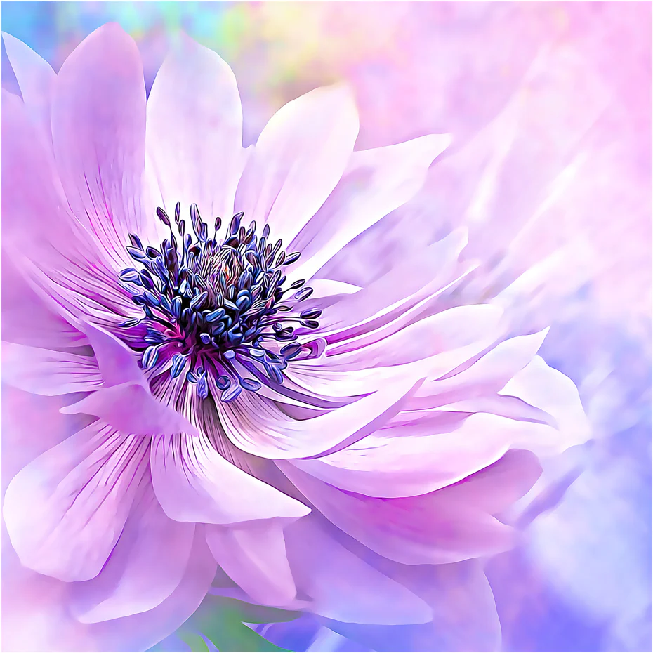 Wispy Purple Anemone - Art by Denise Dundon